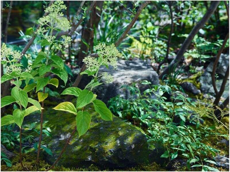 三井花园酒店京都站前 外观 照片